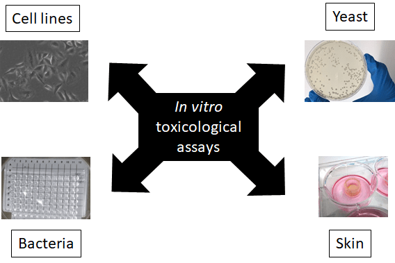 Toxicological evaluation of materials using in vitro assays
