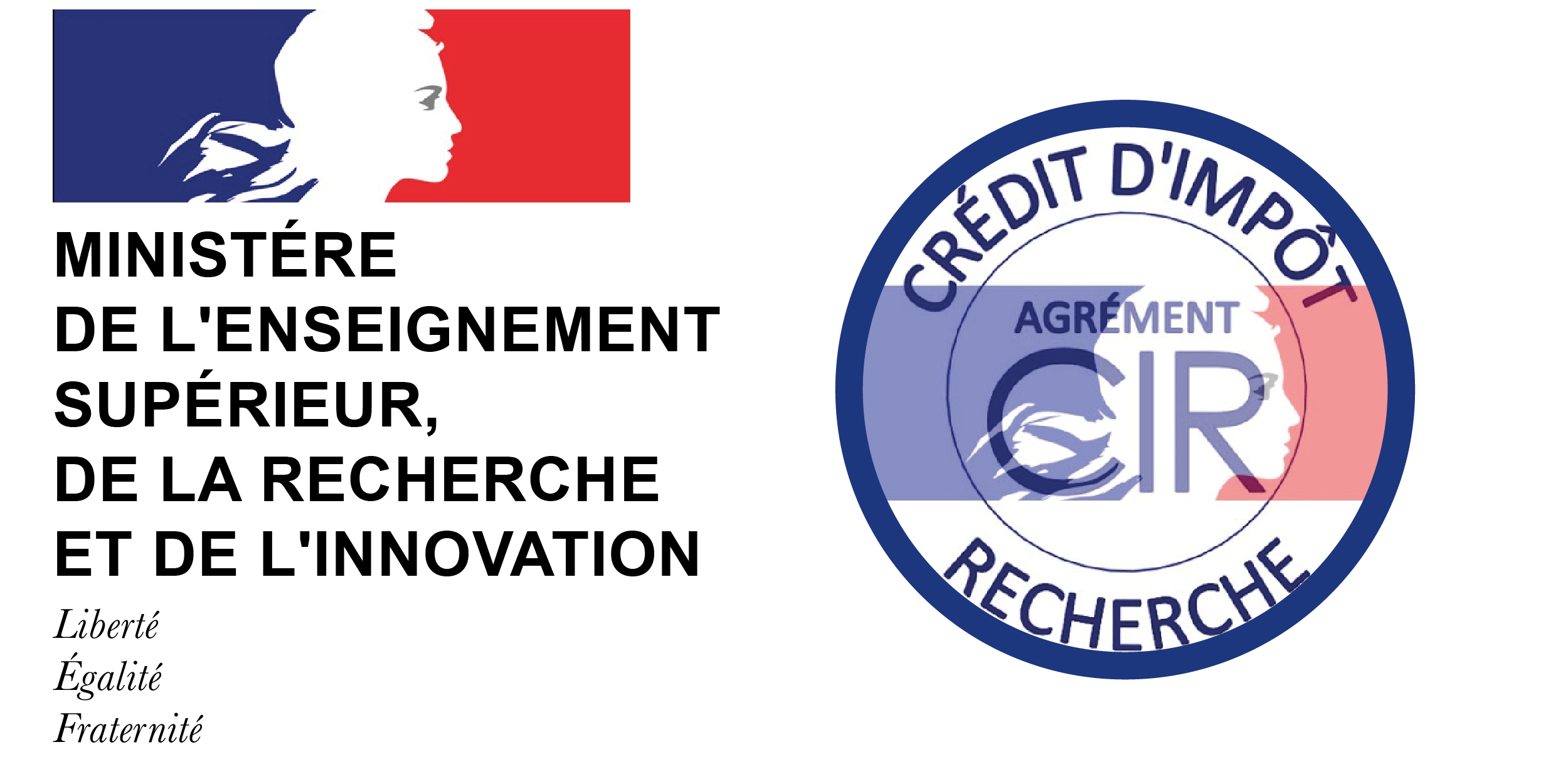 Read more about the article Research Tax Credit (RIC) – France