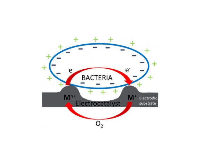 Read more about the article Antimicrobial layers