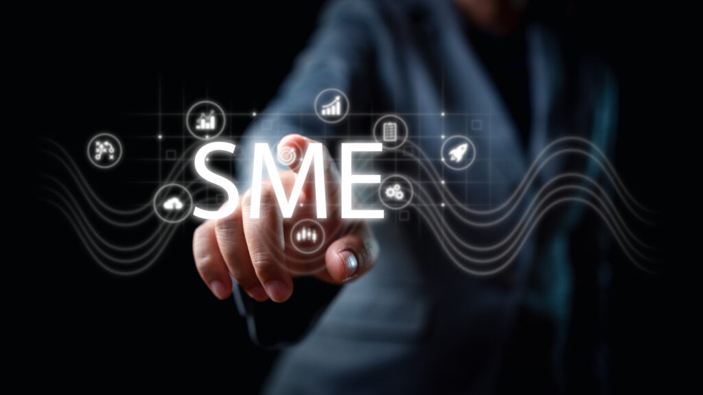 Promotion of business consulting for SMEs – Germany