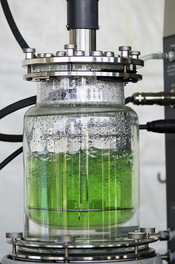 Bio-concrete and biogenic construction materials with cyanobacteria