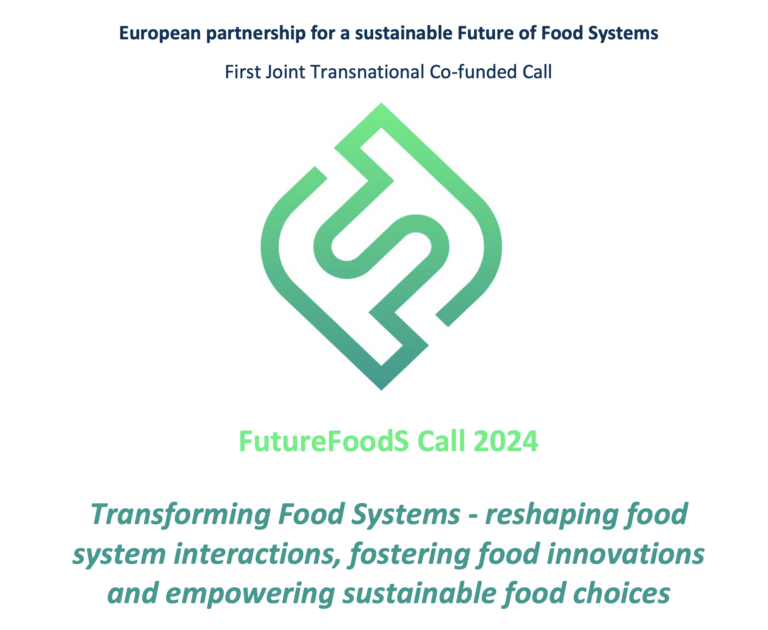 Screenshot 2024 12 19 at 16.09.46 1 768x630