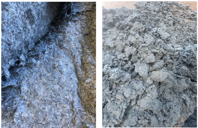 Screenshot 2025 01 29 141834 768x497