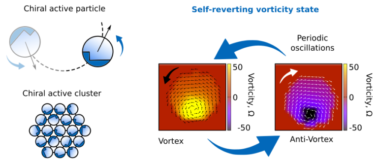 downloaded image 1742636592 1 768x327