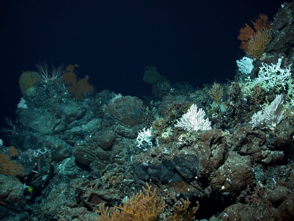 downloaded image 1743429216 1