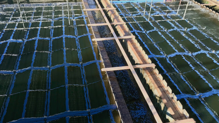 downloaded image 1743431293 1 768x432