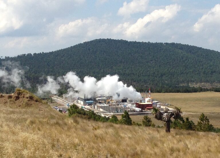 downloaded image 1743432584 1 768x553