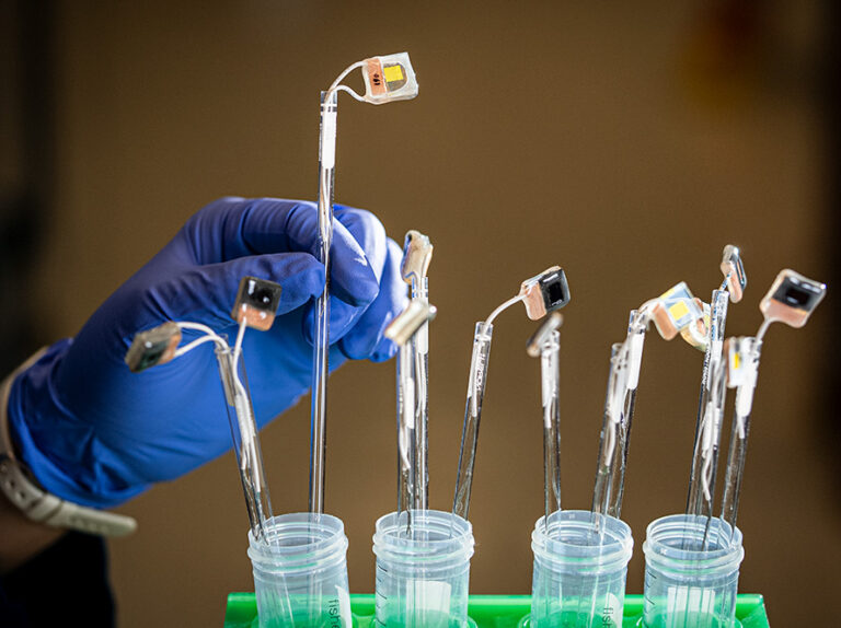 Gallery1 890x665px XBD 202503 035 015 768x574