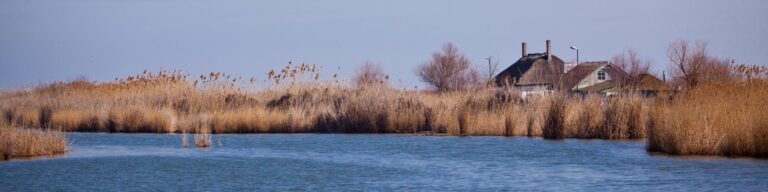 shutterstock 767507411 768x192