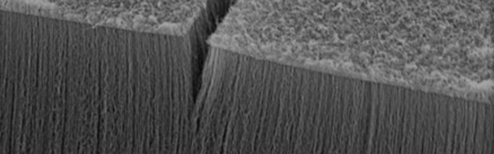 entity 9360f7ad f23a 40d8 aca4 d12958a97cb11