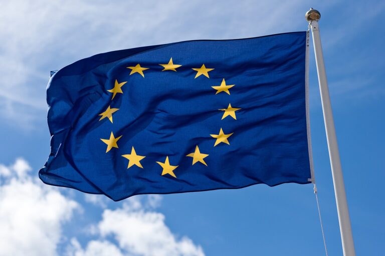 1600px European Union Flag 4768764591 768x512