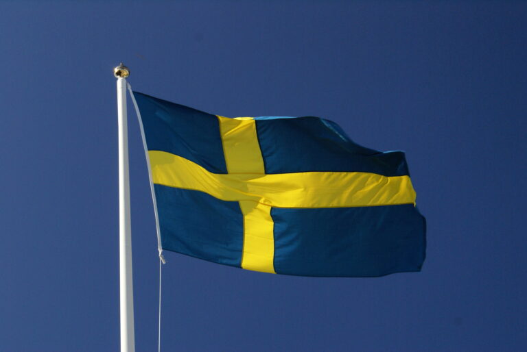 Flag of Sweden 8 768x514