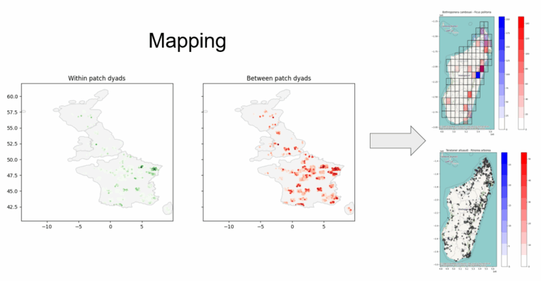 downloaded image 1764683290 1 768x400