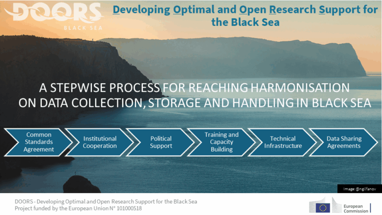 downloaded image 1764683766 1 768x432