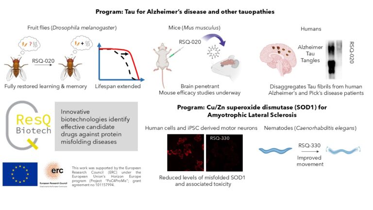 downloaded image 1764944364 1 768x432