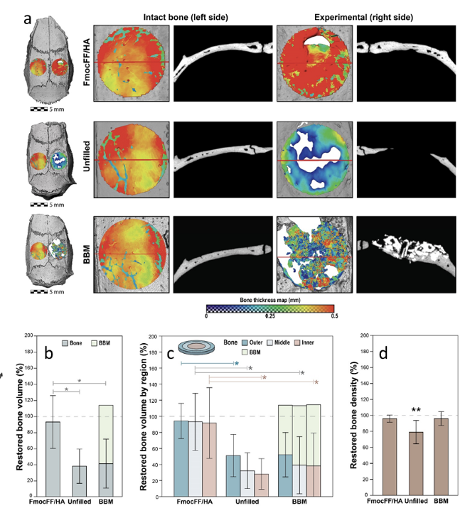downloaded image 1764944375 1