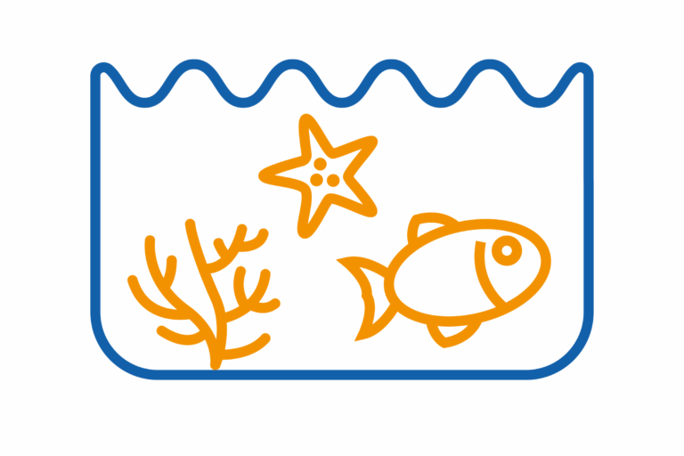 downloaded image 1764944743 1 768x512