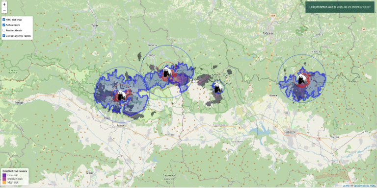 downloaded image 1764944799 1 768x384