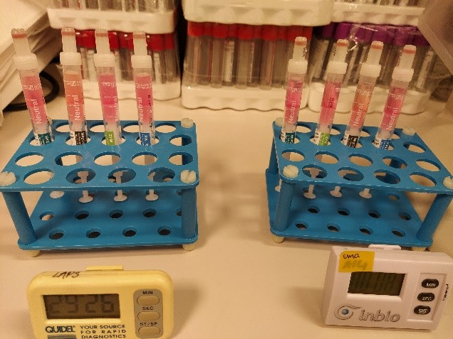 downloaded image 1764944878 1