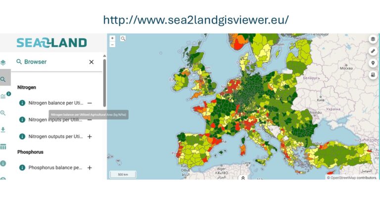 downloaded image 1764945269 1 768x432