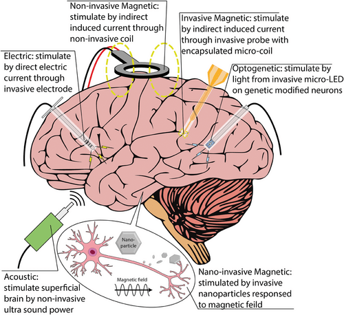 downloaded image 1764950270 1