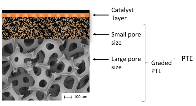 downloaded image 1764951001 1