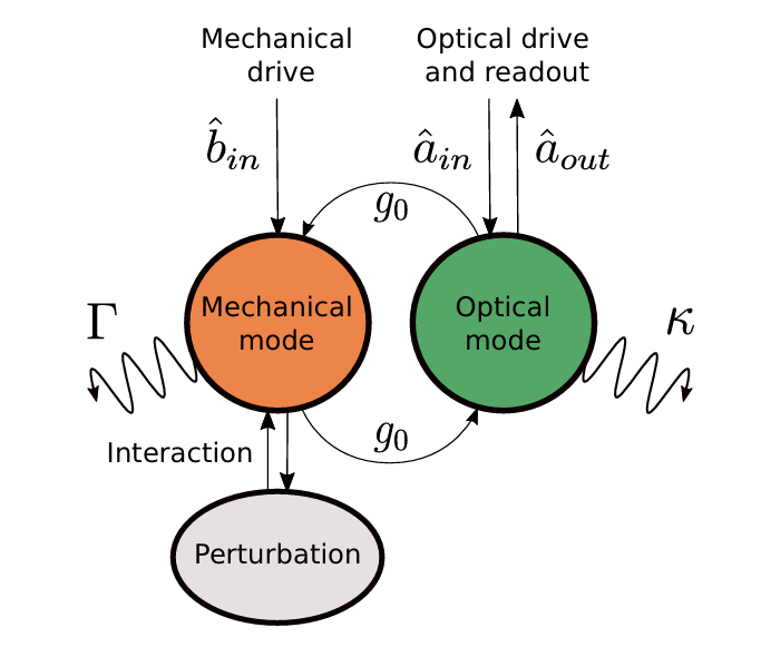 downloaded image 1764951067 1