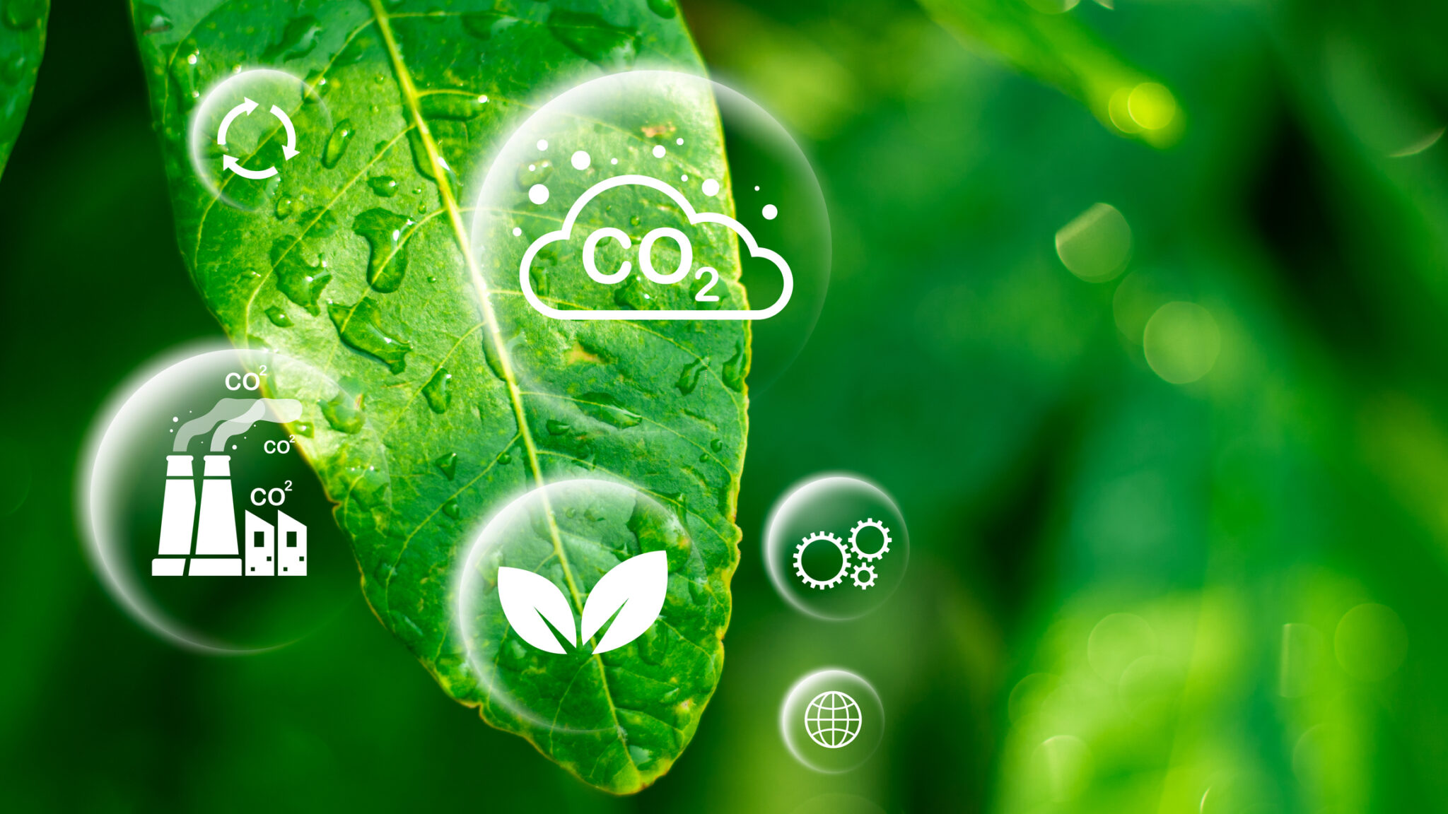 SOLRESS Launches to Develop Safe, Sustainable Bio-Based Solvents from ...