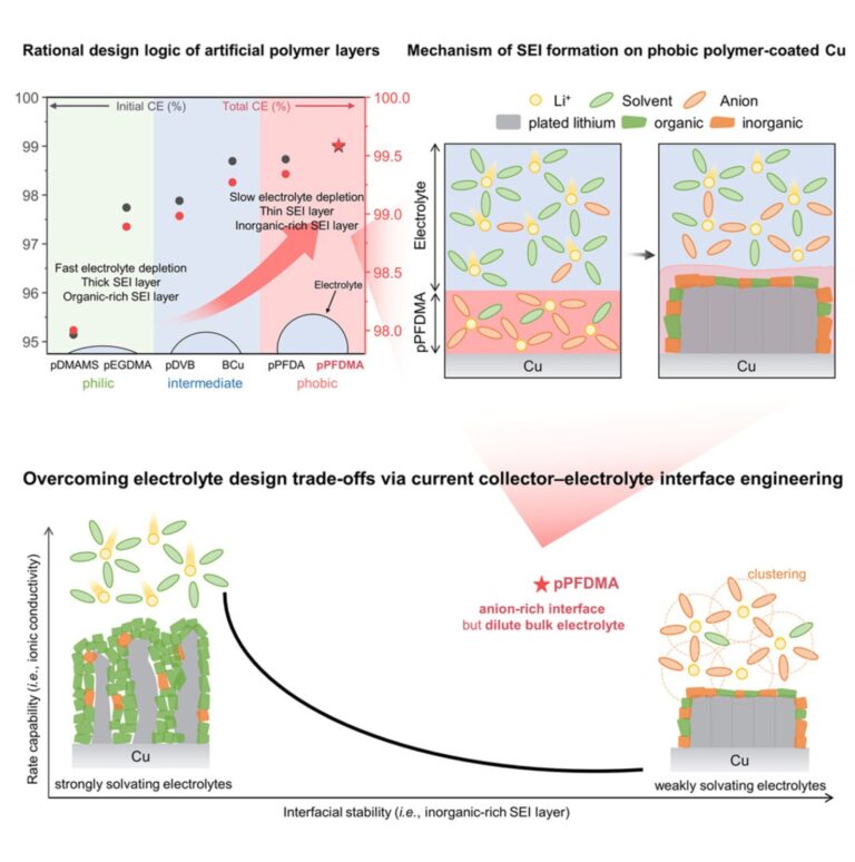 images 000118 figure 768x774