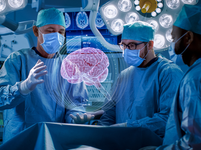 Simulations help us understand how the brain works - KETMarket Open ...