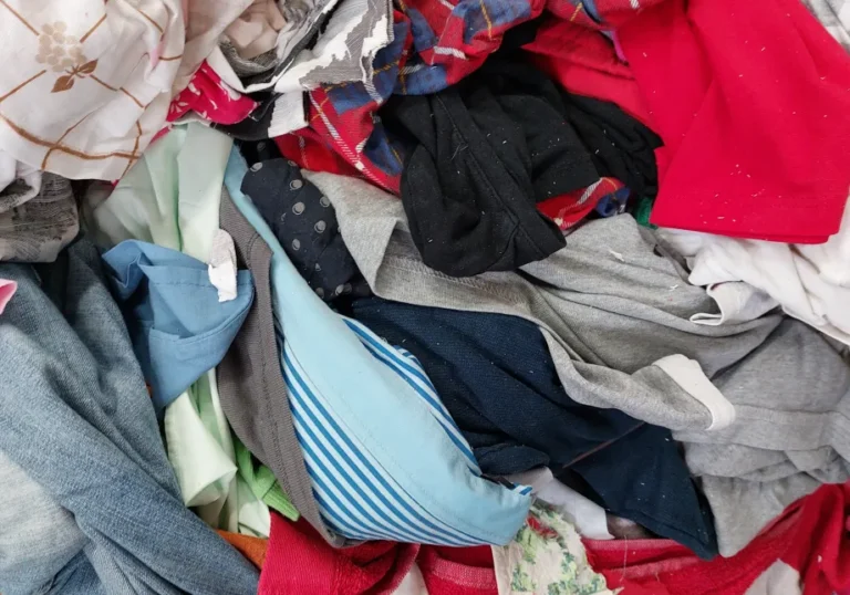 20221104 105401 1.jpg 768x538